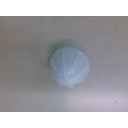 Grapefruit - Sunkist