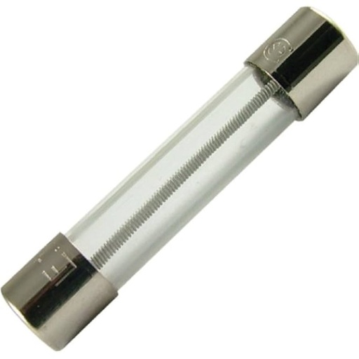 [S10016] Fuse slow 2 amp - Cambro