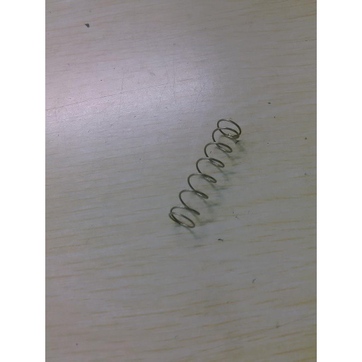 [051941] Spring - Taylor Freezer