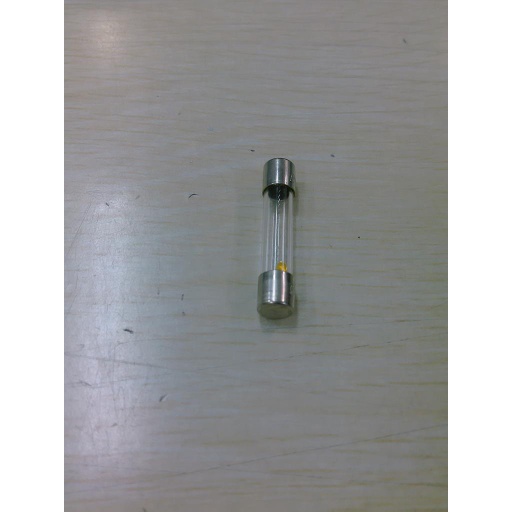 [8261393] Fuse 250v st - Frymaster