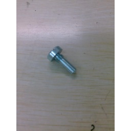 [33] Spring screw Sunkist