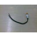 Amber pilot ligth Garland