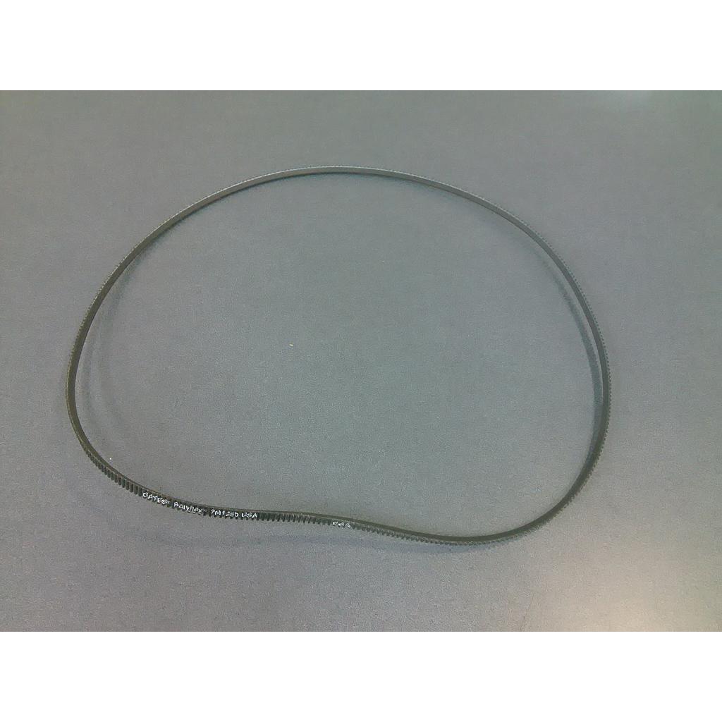 Belt - Dynasty