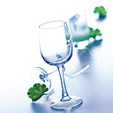 Copa de Vidrio Templado Elisa, 7 3/4 oz -17.6x7cm - Arcoroc