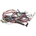 Harnnes main - Amana