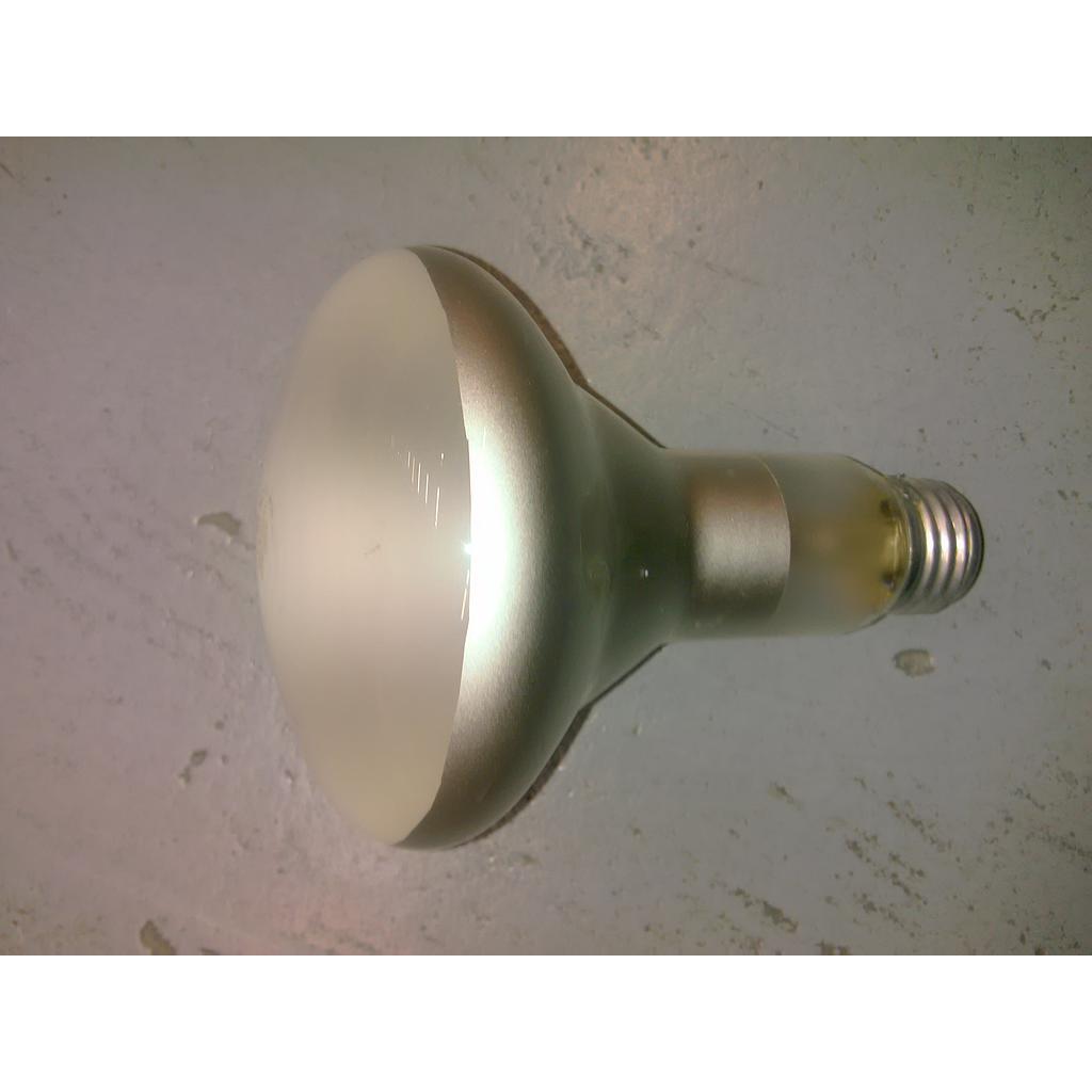 Lamp 65-75w rflr flood - Star