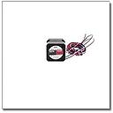 Motor agitador  - Taylor Freezer