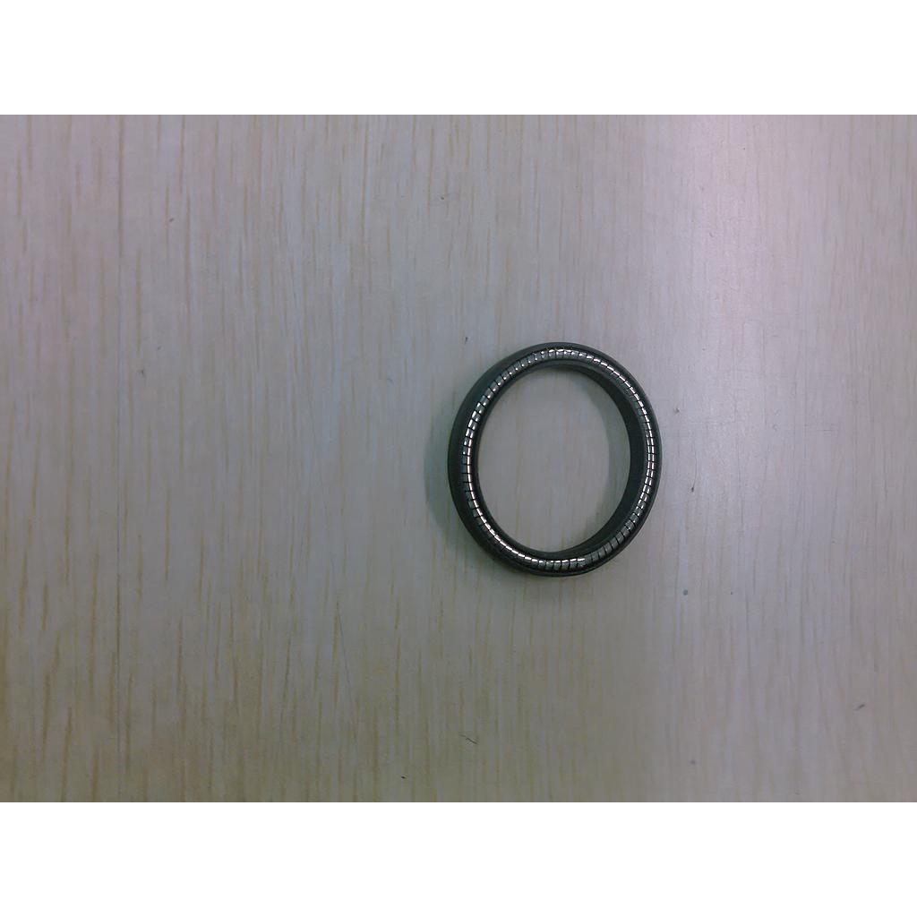 Ring gasket with spr Scotsman