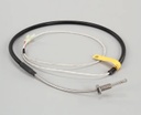 Rtd sensor - Garland