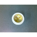 Socket light - Henny Penny