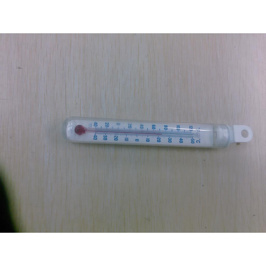 Thermometer hb 120l vertical - True