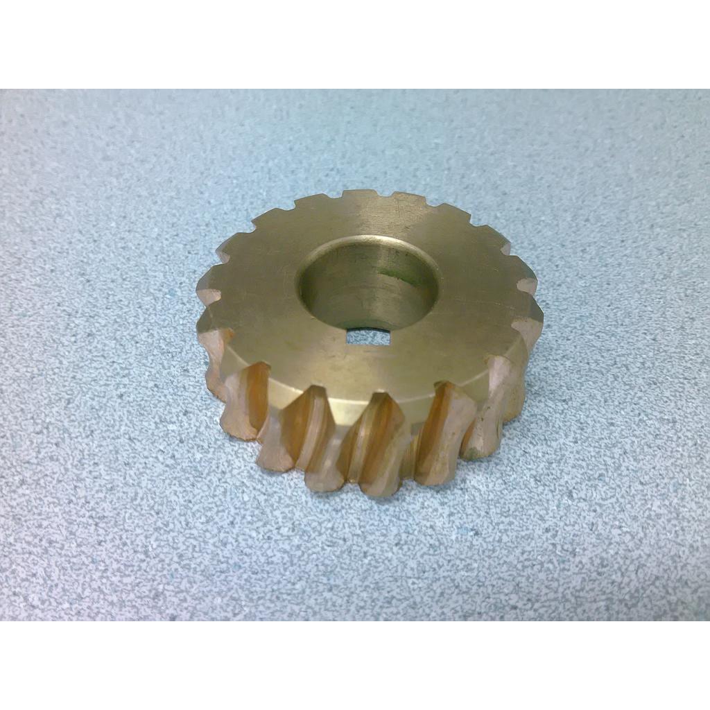 Worm gear - Dynasty