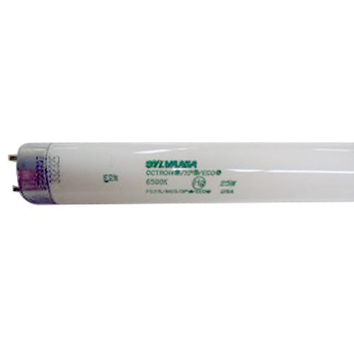Lamp F025/865/XP/ECO 36" - True
