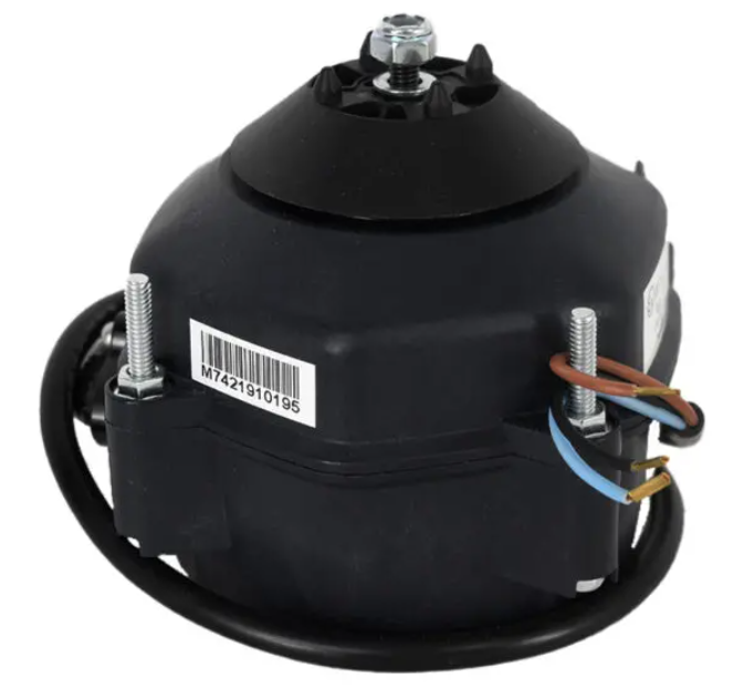 Motor - Fwe