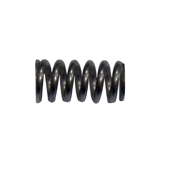 [485061010] Stain less steel spring - La Cimbali