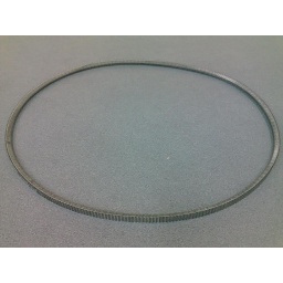 [BELT-7M*950] Belt - Dynasty