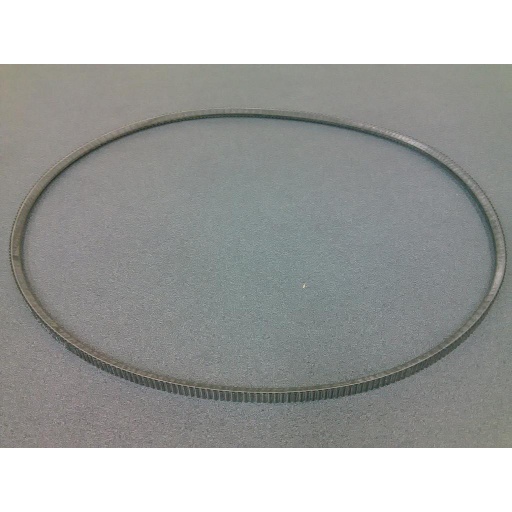 [BELT-7M*950] Belt - Dynasty