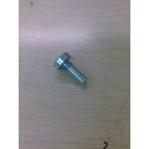 [33] Spring screw - Sunkist