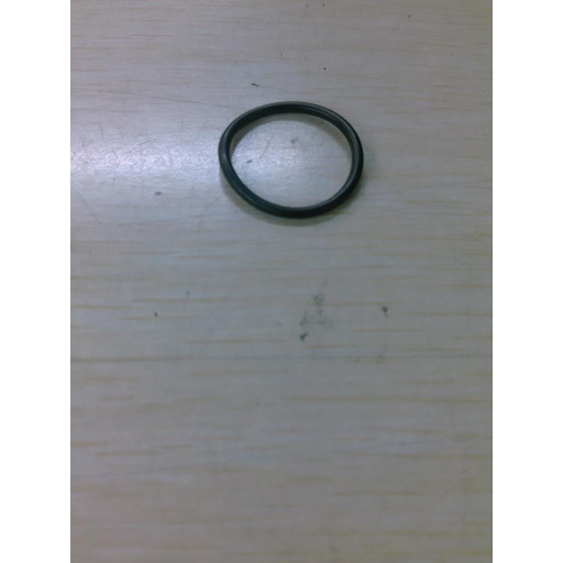 [024095] Anillo - Taylor Freezer