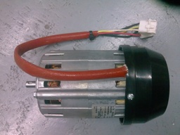 [968038000] Motor 100-120V 50-60Hz Enea - Casadio