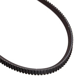 [BELT-7M*1090] Belt 7mx1090 - Dynasty
